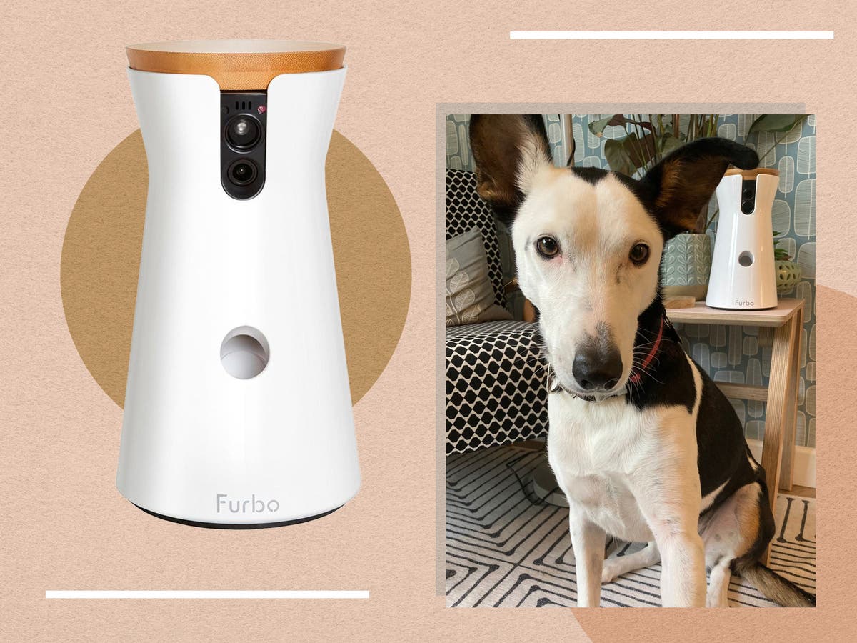 Furbo dog camera review 2022 Design, features and performance The